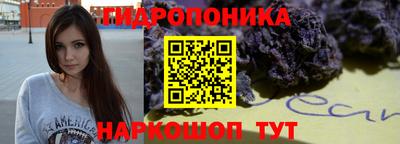 индика Беслан