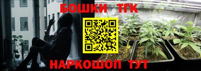 сатива Новокубанск