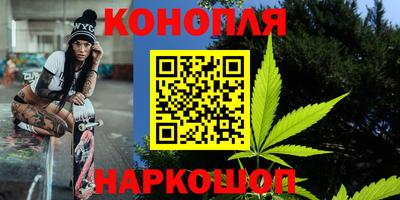 сатива Новокубанск