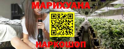 индика Беслан