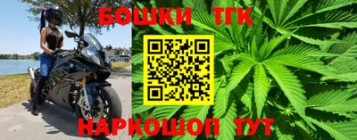 сатива Новокубанск