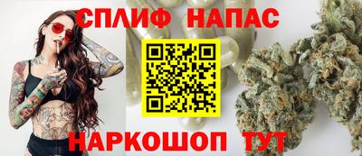 сатива Новокубанск