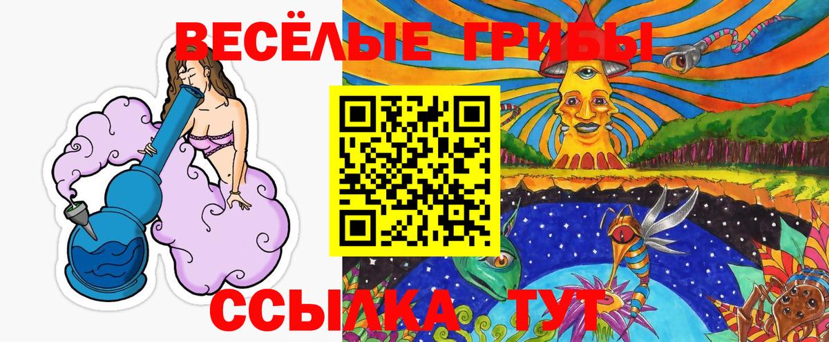 Псилоцибиновые грибы Cubensis Чита