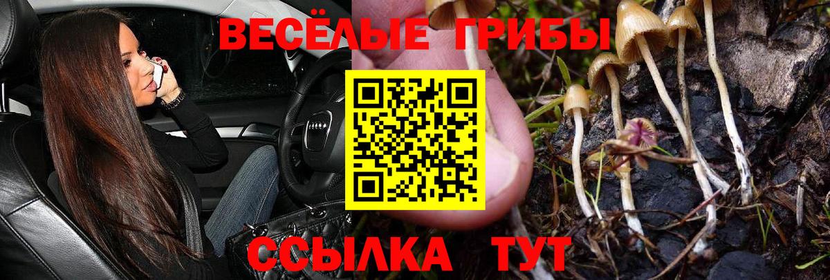 Псилоцибиновые грибы ЛСД  Псилоцибиновые грибы прущие грибы  Чита 