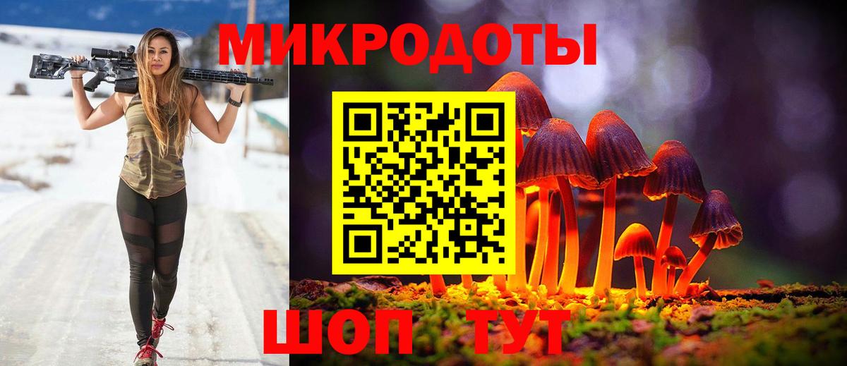 наркошоп  Вход с VPN  Чита  Псилоцибиновые грибы мицелий 