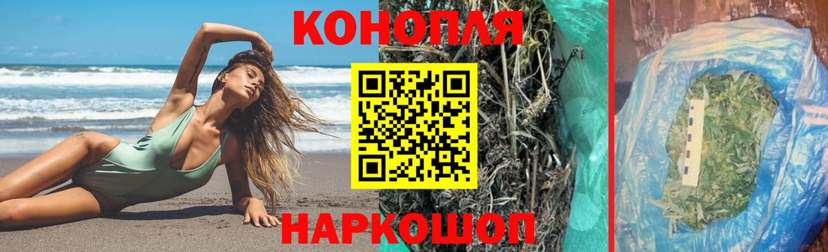 Марихуана сатива  Вход с VPN  Конопля план  Чита  Конопля THC 21% 